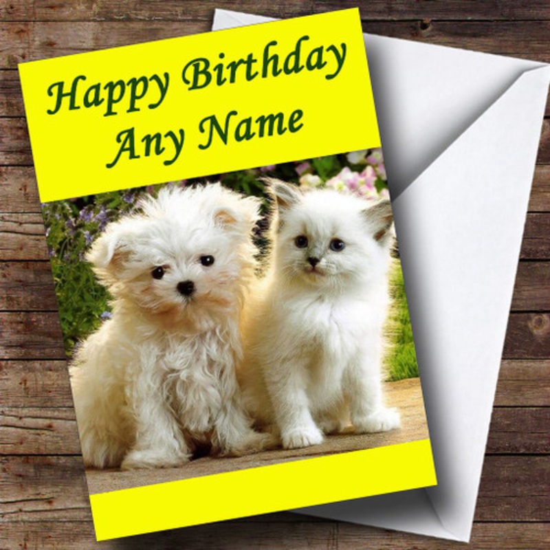 White Terrier Dog and White Cat Personalised Birthday Card – The Card Zoo