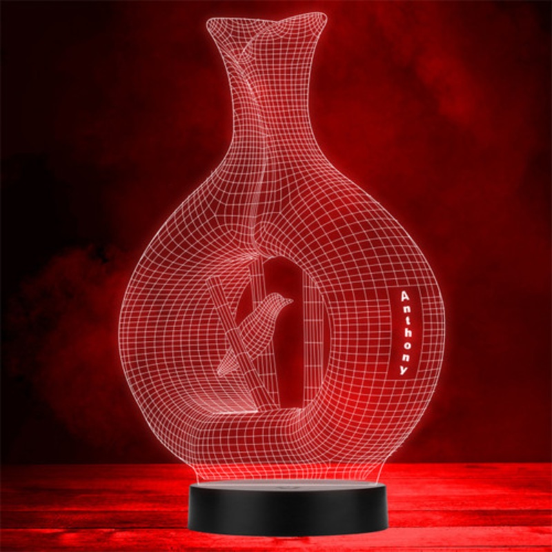 3D Style Bird and Vase Personalised Gift Colour Changing LED Lamp Night Light – The Card Zoo
