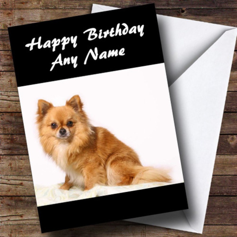 Little Chihuahua Dog Personalised Birthday Card – The Card Zoo