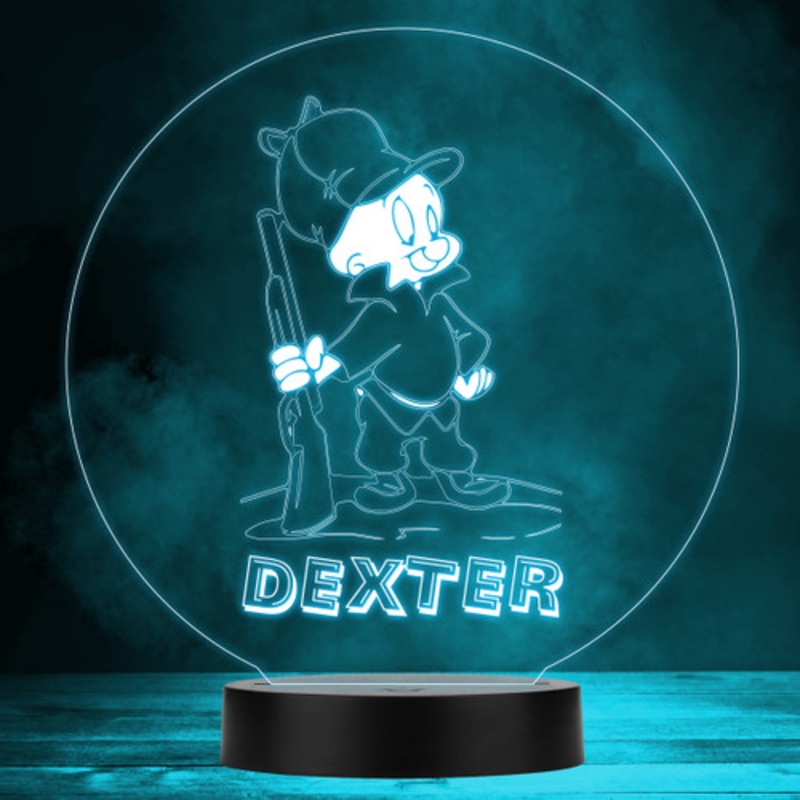 Elmer Fudd Looney Tunes Kids Personalised Gift Colour Changing Night Light – The Card Zoo