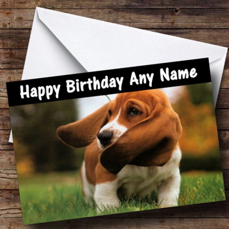 Gorgeous Basset Hound Dog Personalised Birthday Card – The Card Zoo