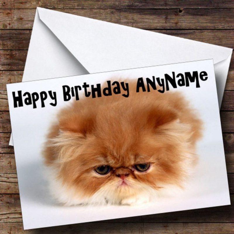 Persian Kitten Ball Of Fur Personalised Birthday Card – The Card Zoo