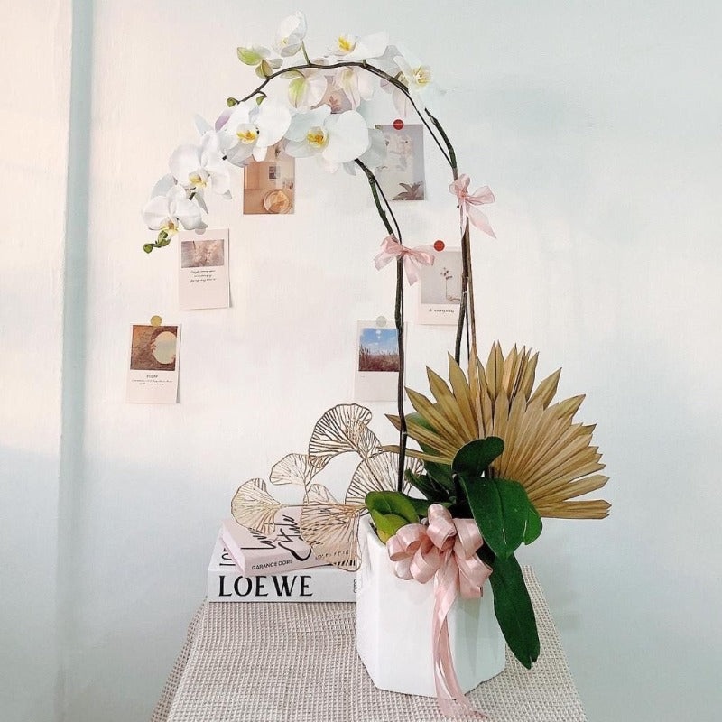 Hari Raya Serenity White Orchid  (Johor Bahru Delivery Only)