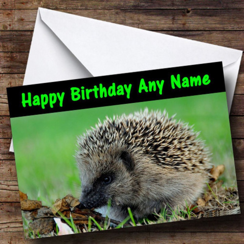 Hedgehog Personalised Birthday Card – The Card Zoo