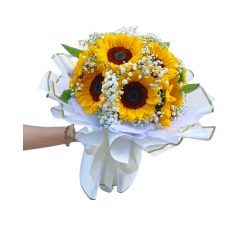 [Fresh Flower] Snowy Sunflower (Klang Valley Delivery Only)