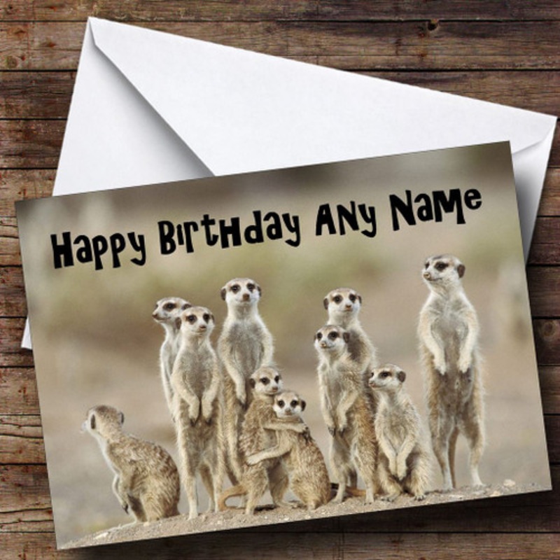 Lots Of Meerkats Funny Personalised Birthday Card – The Card Zoo