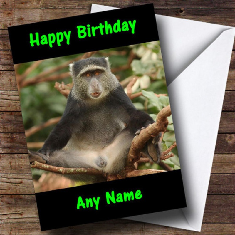 Funny Monkey With Legs Open Personalised Birthday Card – The Card Zoo