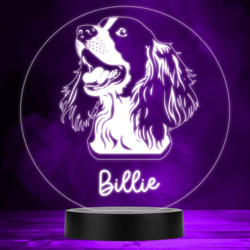 English Springer Spaniel Dog Pet Multicolour Personalised Gift Lamp Night Light – The Card Zoo