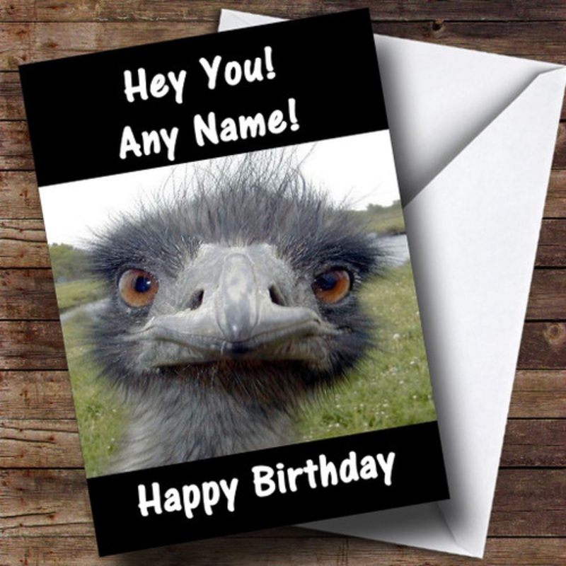 Funny Ostrich Personalised Birthday Card – The Card Zoo