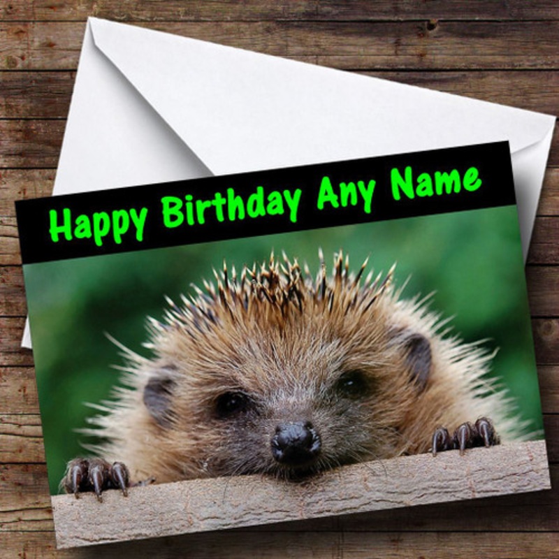 Funny Hedgehog Personalised Birthday Card – The Card Zoo