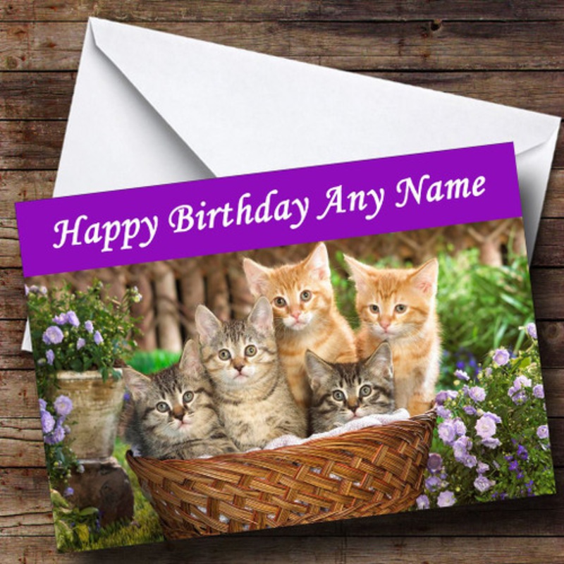 Kittens In A Basket Personalised Birthday Card – The Card Zoo