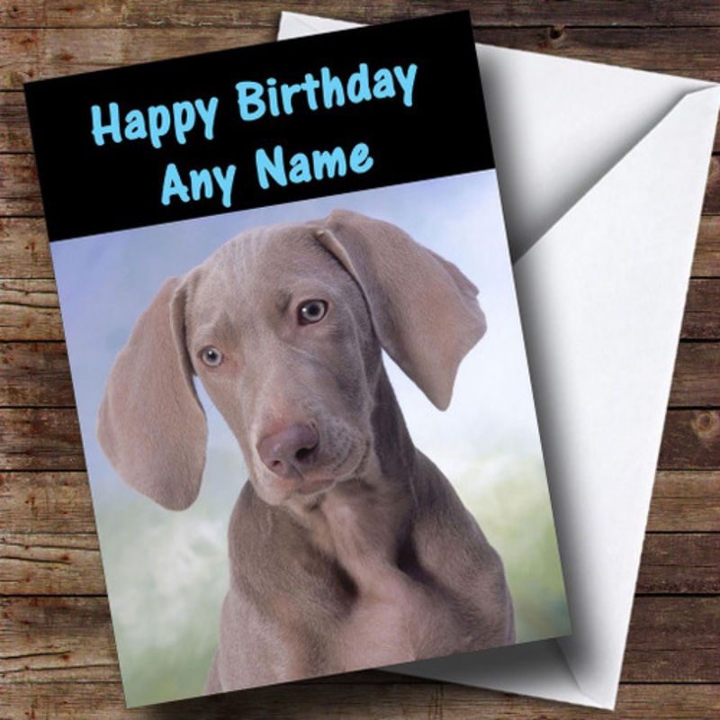 Ariege Pointer Dog Personalised Birthday Card – The Card Zoo