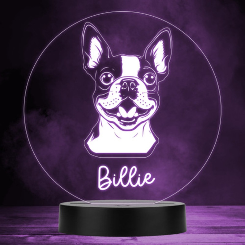 Boston Terrier Dog Pet Multicolour Personalised Gift LED Lamp Night Light – The Card Zoo