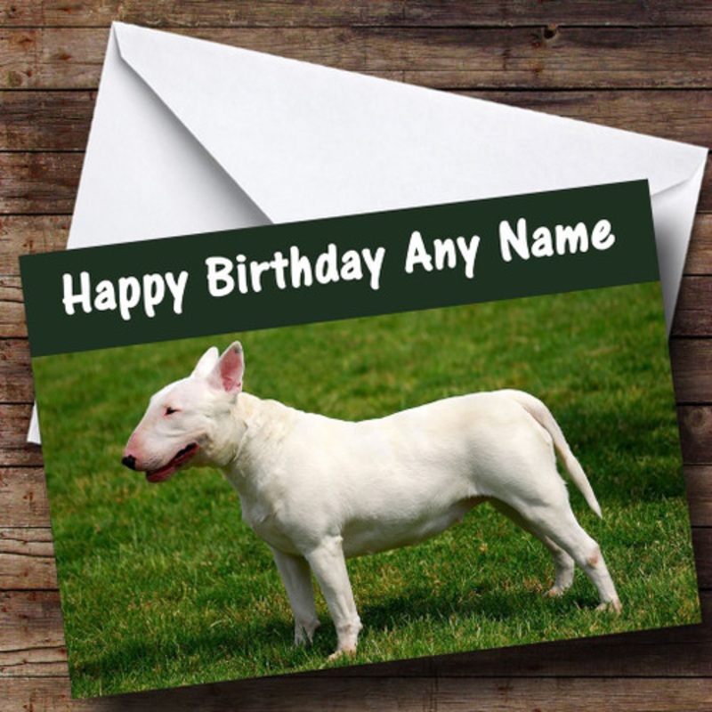 Bull Terrier Personalised Birthday Card – The Card Zoo