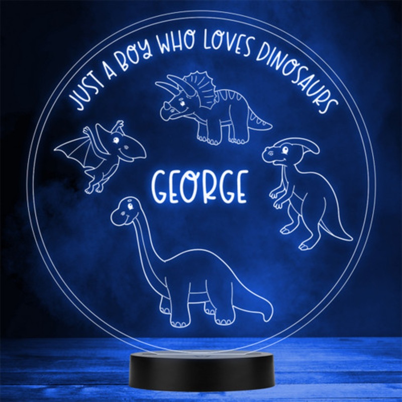 Just A Boy Who Loves Dinosaurs Fan LED Personalised Gift Night Light – The Card Zoo