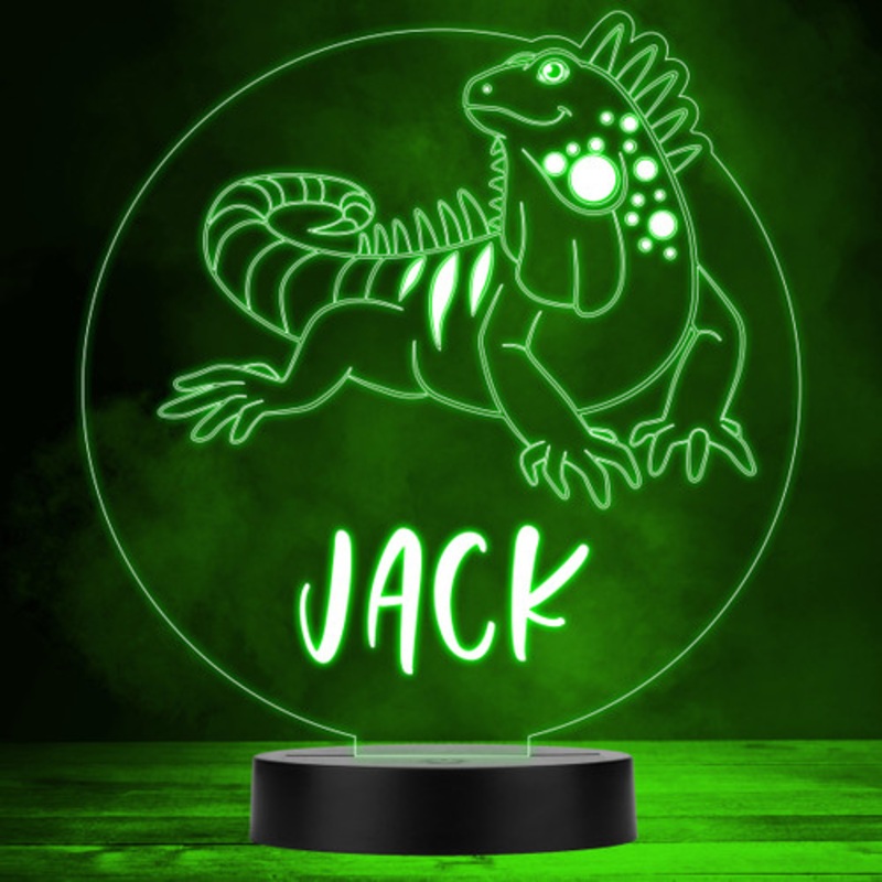 Cute Iguana Lizard Colour Changing Personalised Gift LED Lamp Night Light – The Card Zoo