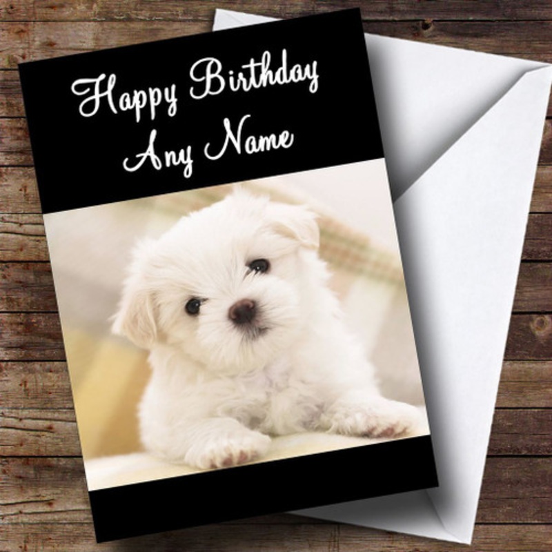 Maltese Terrier Puppy Dog Personalised Birthday Card – The Card Zoo
