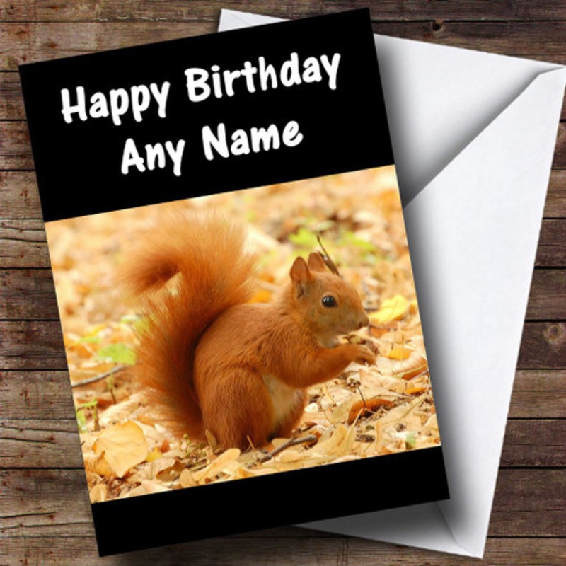 Red Squirrel Personalised Birthday Card – The Card Zoo