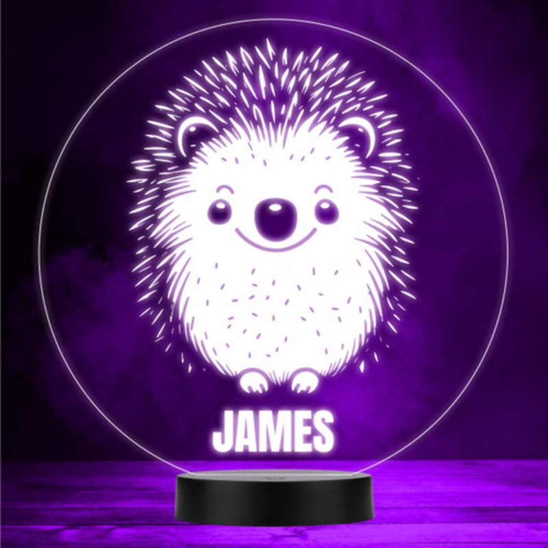 Happy Cute Hedgehog Colour Changing Led Lamp Personalised Gift Night Light – The Card Zoo