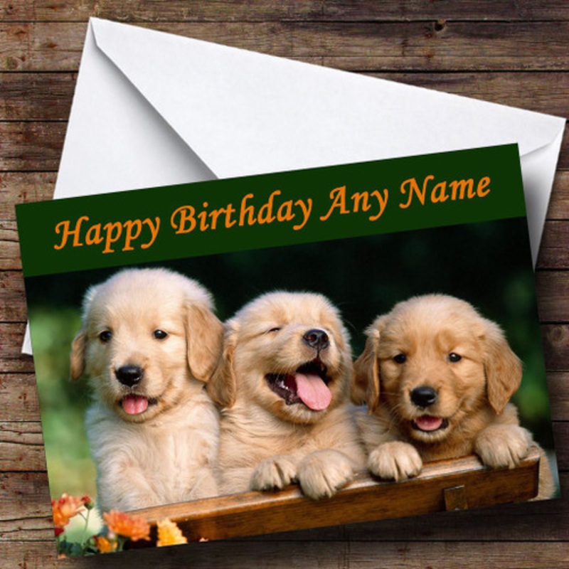 Labrador Puppy Dogs Personalised Birthday Card – The Card Zoo