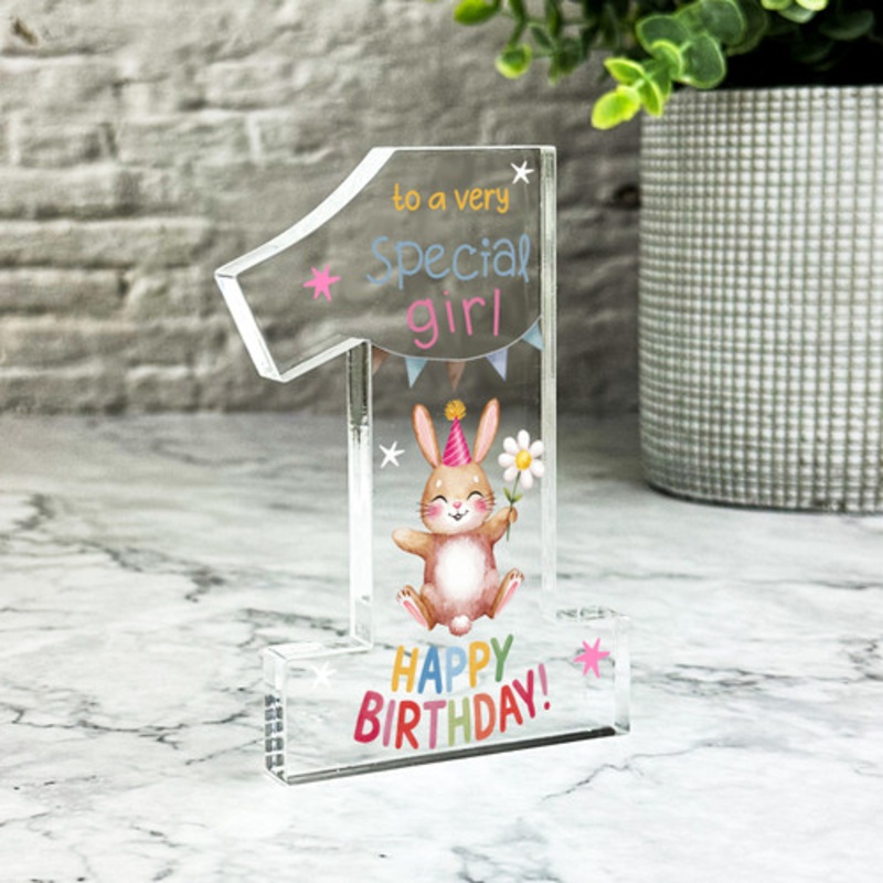 1st Birthday Gift Special Girl Rabbit Keepsake Number One Ornament Plaque – The Card Zoo