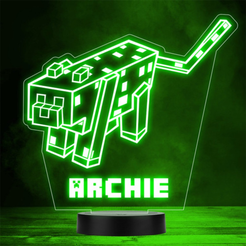Minecraft Cat Animal Pet Gaming Gamer LED Personalised Gift Night Light – The Card Zoo