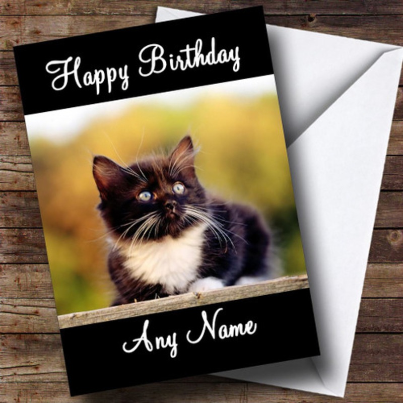 Black and White Kitten Personalised Birthday Card – The Card Zoo