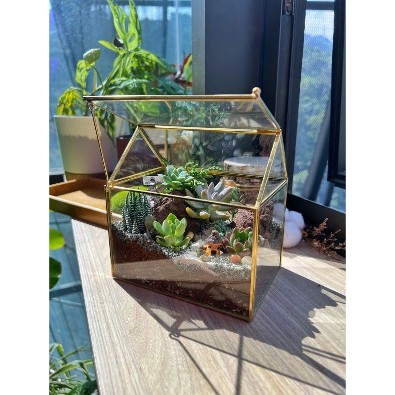 Succulent Arrangement In Golden Frame House Terrarium Glass-