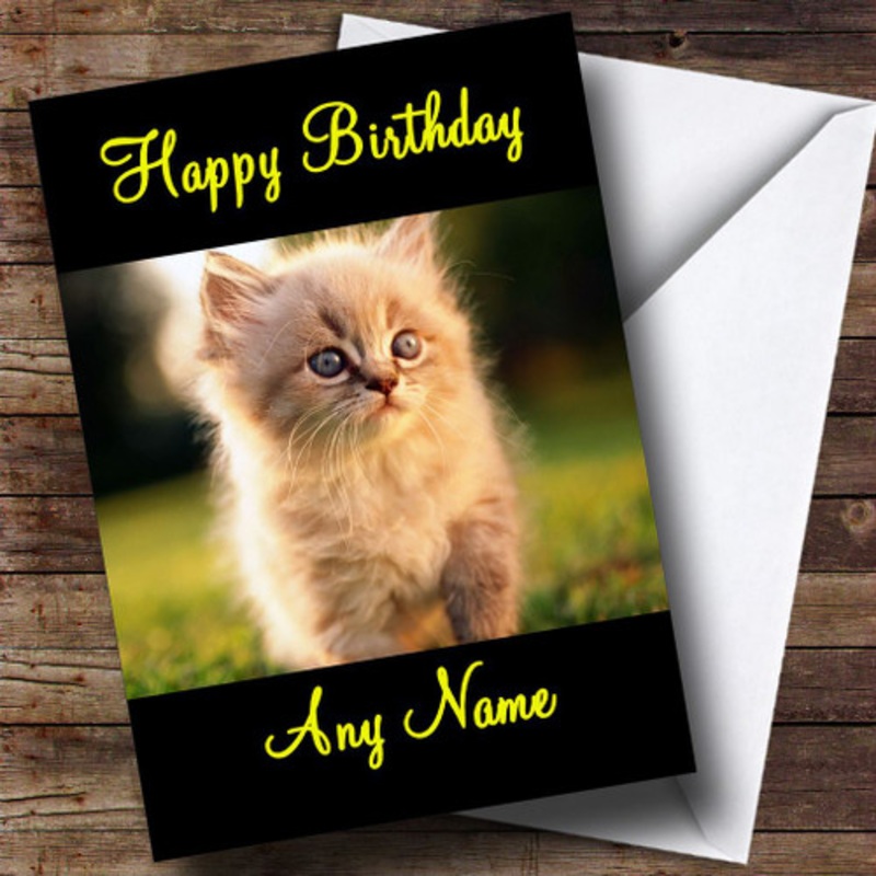 Beautiful Cute Kitten Personalised Birthday Card – The Card Zoo