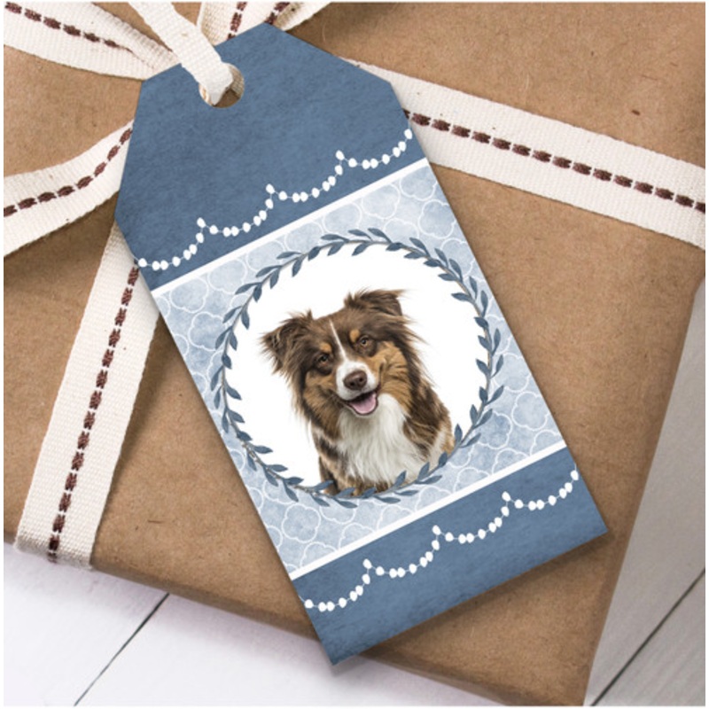 Australian Shepherd Dog Blue Birthday Present Favor Gift Tags – The Card Zoo