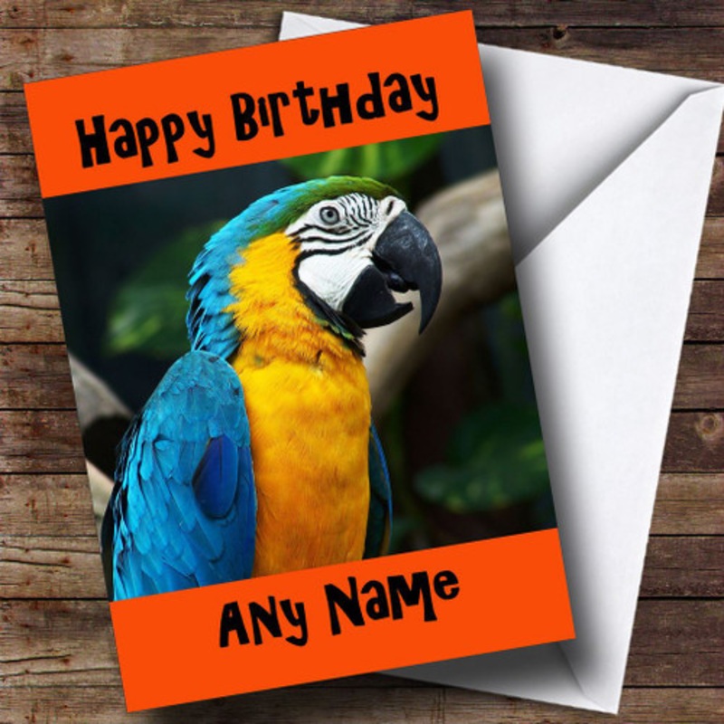 Macaw Parrot Personalised Birthday Card – The Card Zoo