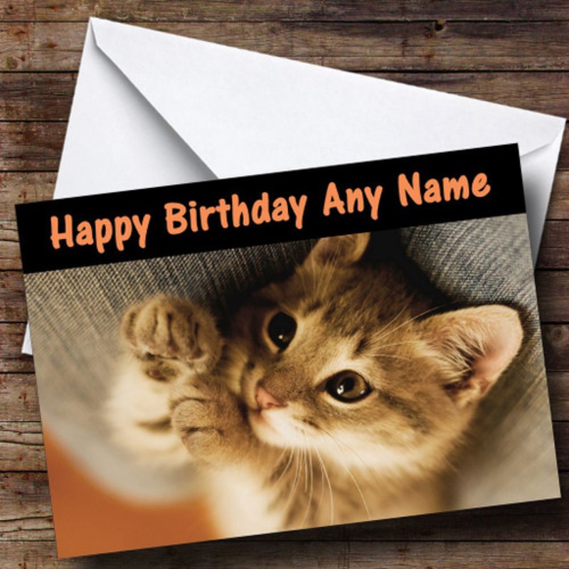 Cute Sweet Kitten Personalised Birthday Card – The Card Zoo