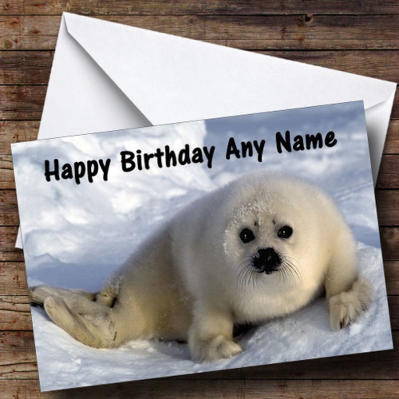 Chubby Seal Personalised Birthday Card – The Card Zoo