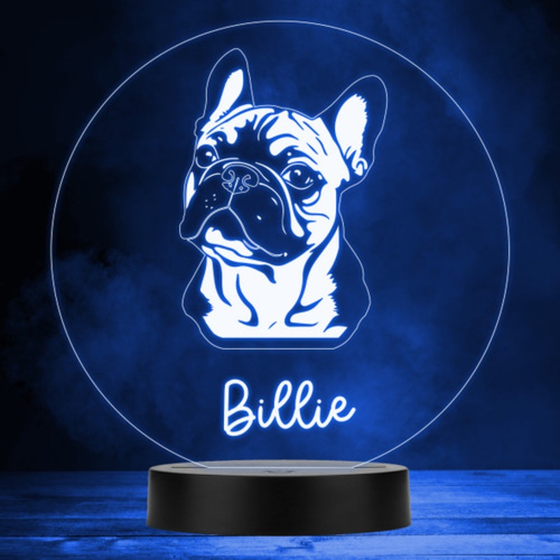 French Bulldog Dog Pet Multicolour Personalised Gift LED Lamp Night Light – The Card Zoo