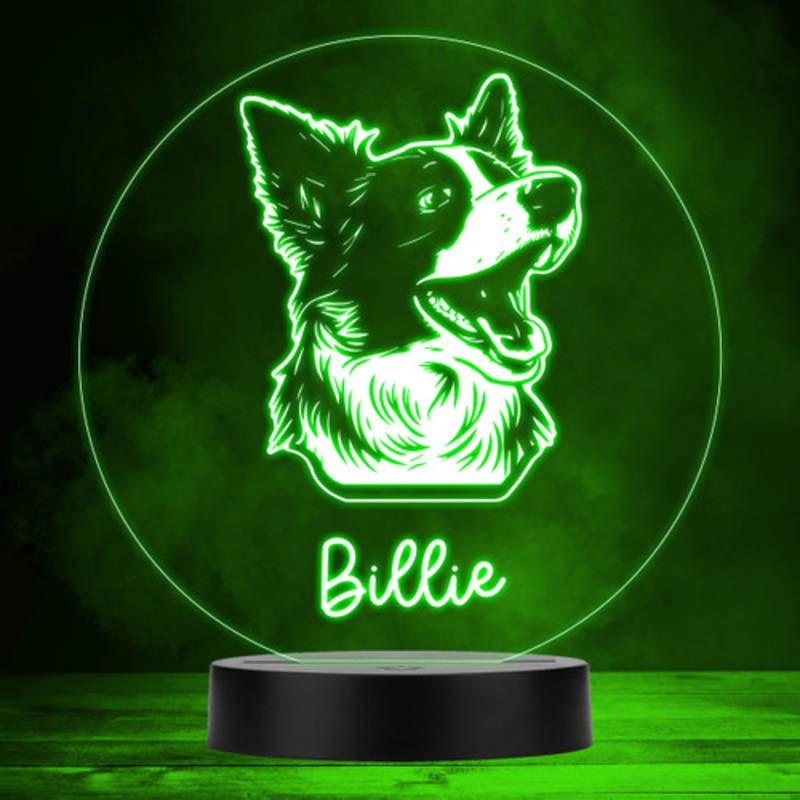 Border Collie Dog Pet Multicolour Personalised Gift LED Lamp Night Light – The Card Zoo
