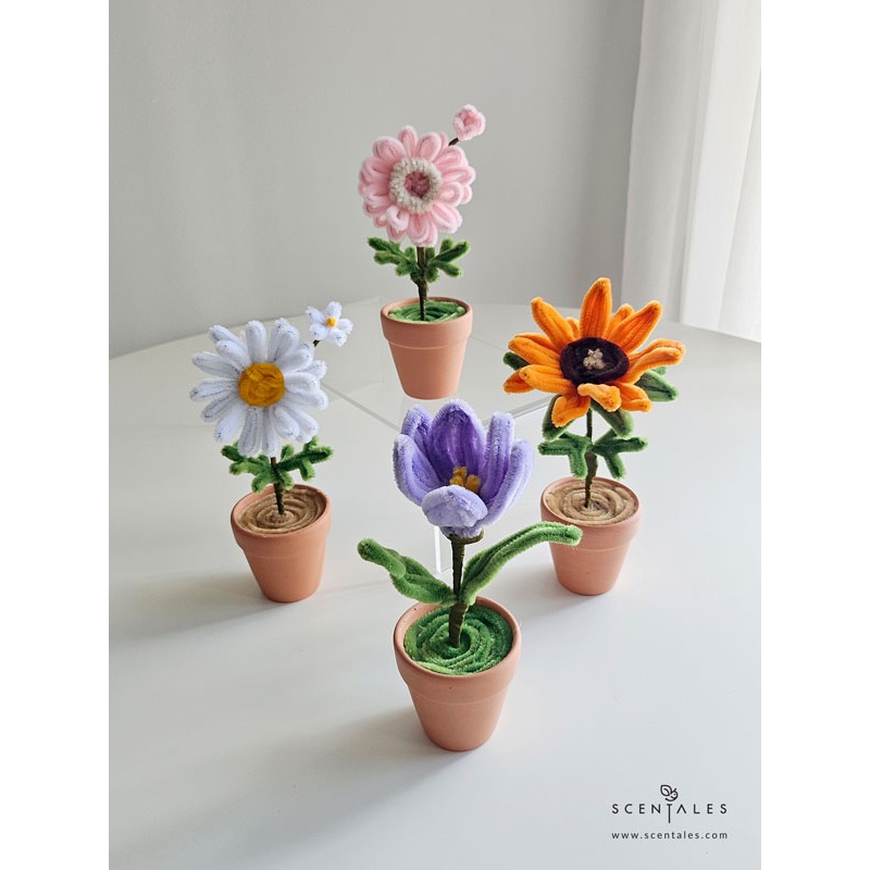 Scentales Dainty Flower Pot|Zone A|Zone B|Zone C|Zone D|Zone E|Self Pickup|Tulip|Gerbera|Sunflower|Chamomile