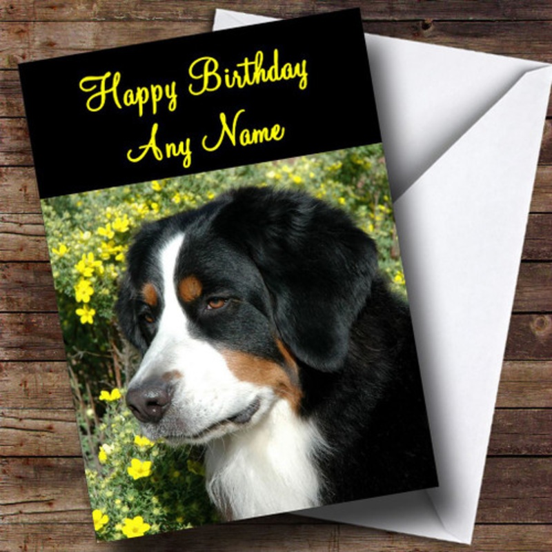 Lovely Bernese Mountain Dog Personalised Birthday Card – The Card Zoo