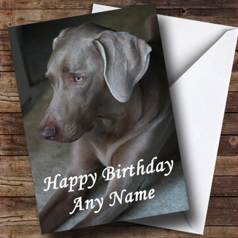 Gorgeous Weimaraner Dog Personalised Birthday Card – The Card Zoo
