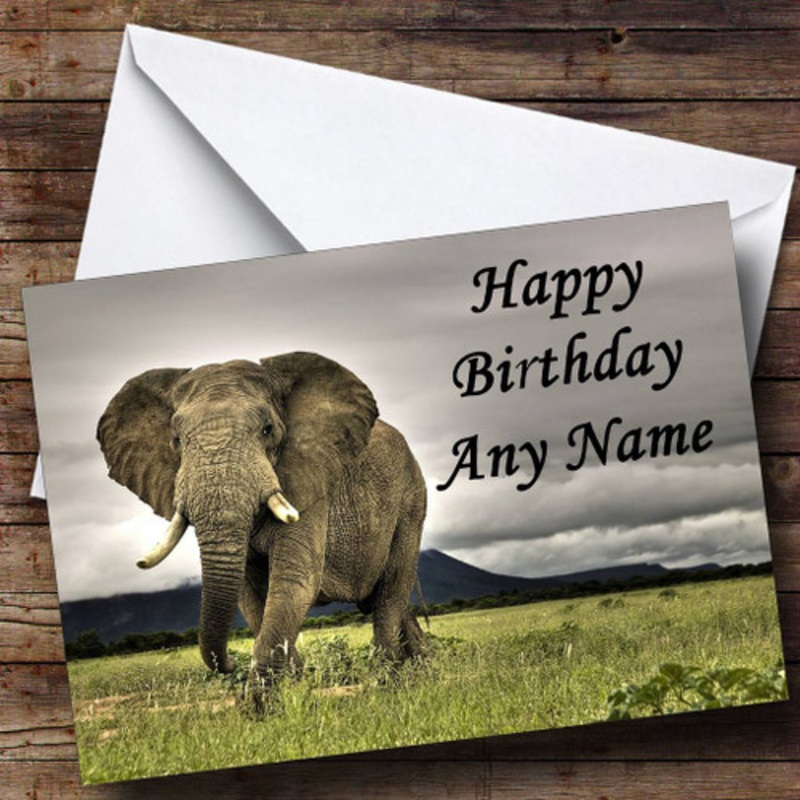 Impressive Elephant Personalised Birthday Card – The Card Zoo