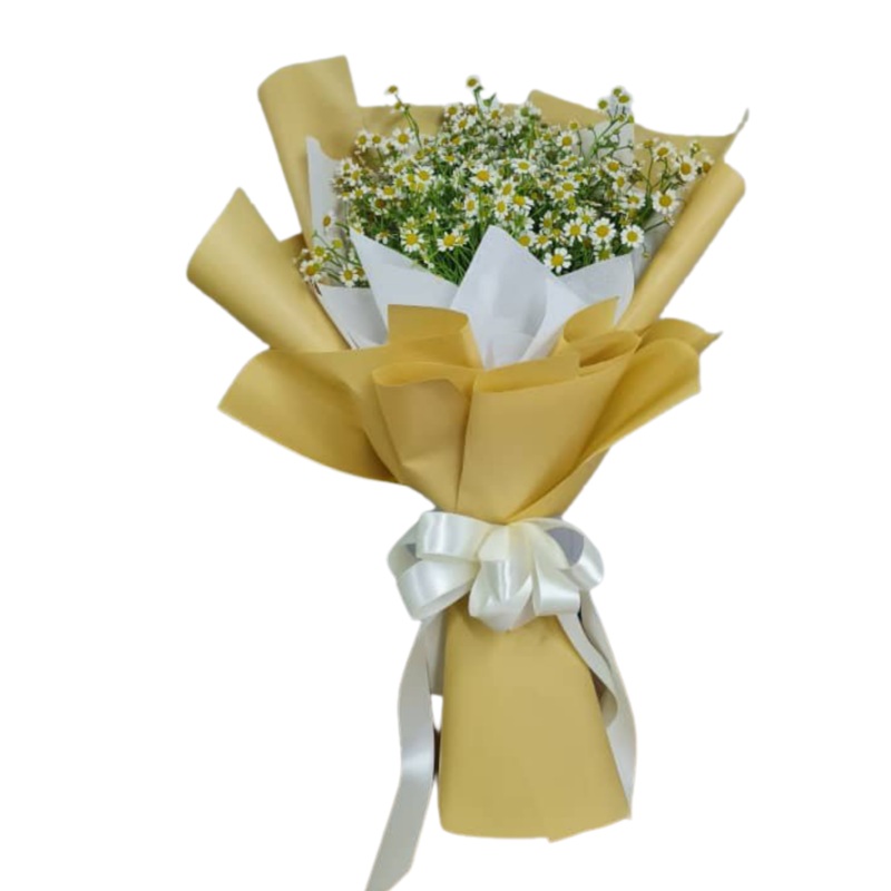 [Fresh Flower] Chamomile Flower Bouquet (Klang Valley Delivery Only)