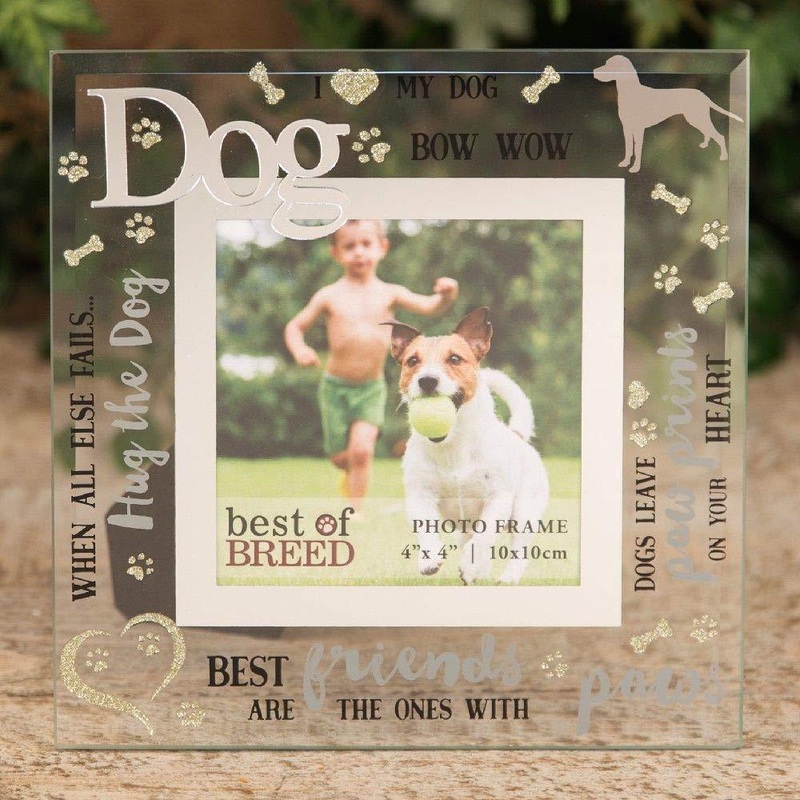 GORGEOUS GLASS DOG PHOTO FRAME GIFT 4 X 4